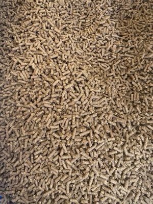 Feed Pellets