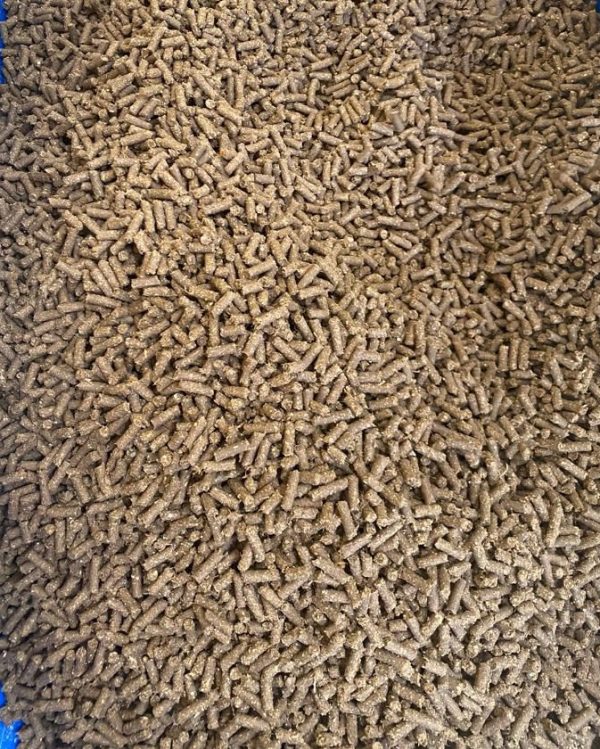 WhatsApp Image 2026-04-24 at 23.24.02 Feed Pellets